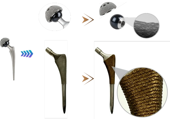 02.jpg 02.jpg